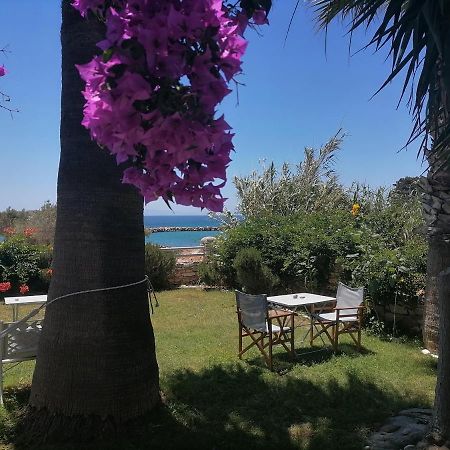 Nikoleta'S Studios دريوس المظهر الخارجي الصورة