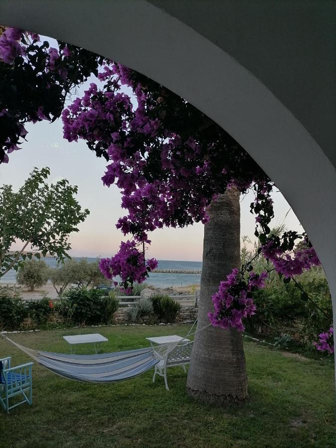 Nikoleta'S Studios دريوس المظهر الخارجي الصورة